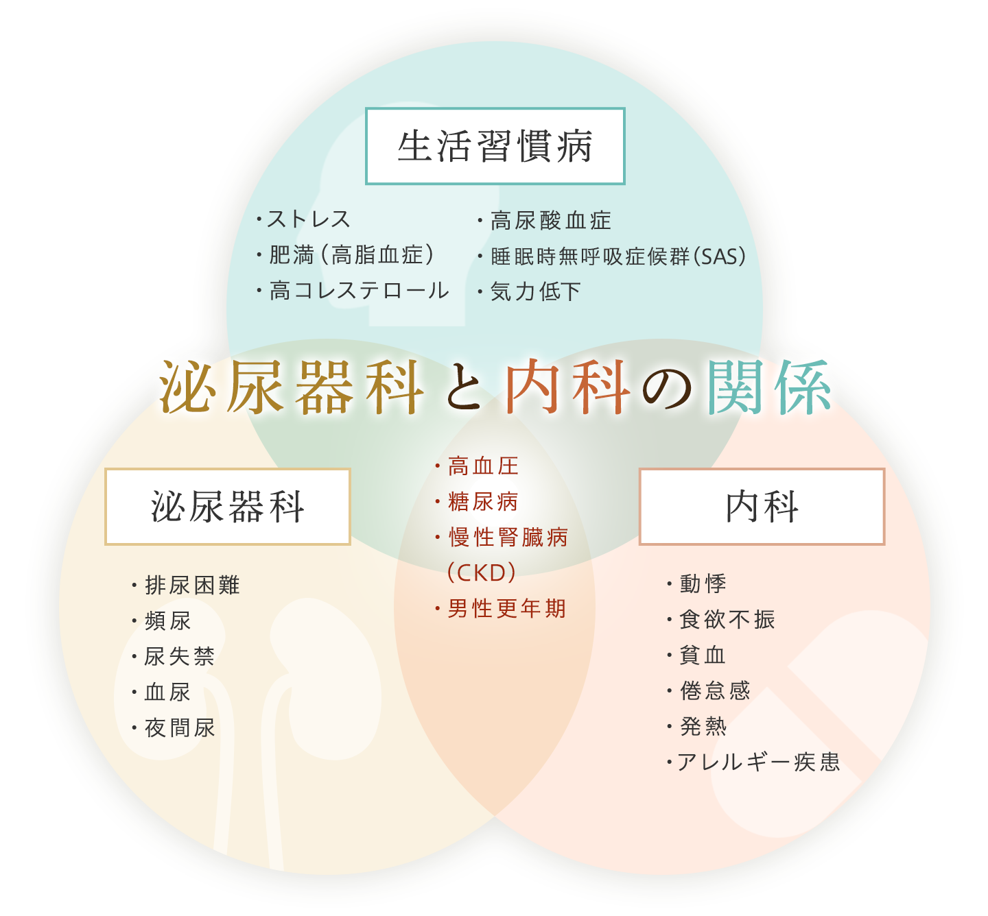生活習慣病 泌尿器科 内科 泌尿器科と内科の関係